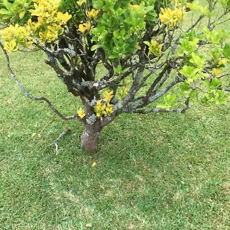 Casa D'aman 3*